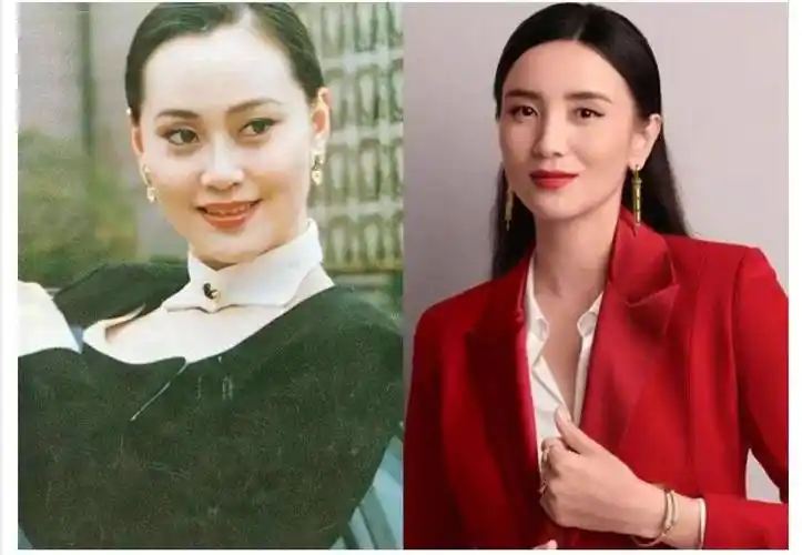 小宋佳出道的时候,大宋佳已经是红遍大江南北的最佳女主角了.