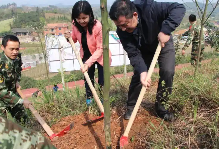 团中央农青部副巡视员赵宝东,团湖南省委副书记冯海燕参加植树活动
