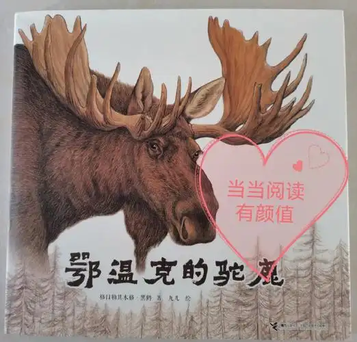 狩猎过程中猎杀了一头哺乳期的驼鹿,小驼鹿一路跟着老猎人回到营地