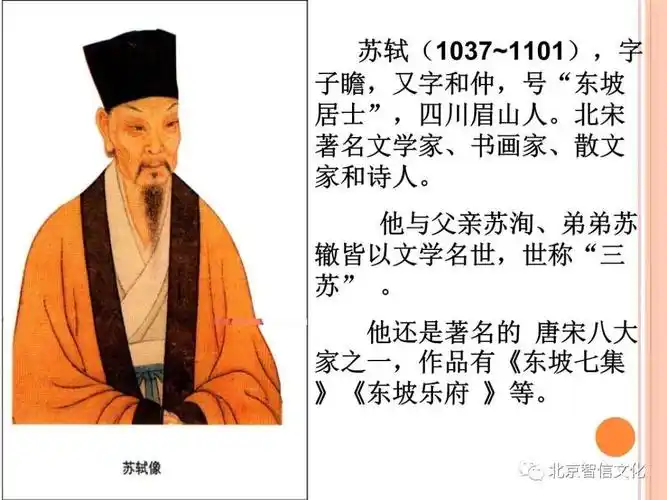 苏轼简介 / brève introduction sur su shi