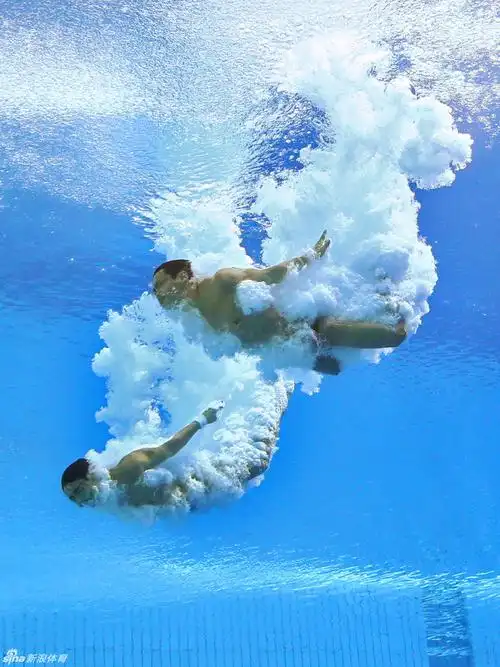 游泳世锦赛精选美图(一)