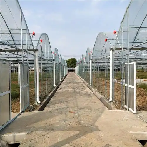 连体大棚 简易连栋大棚简易抗风外遮阳连栋棚镀锌温室连体大棚农用