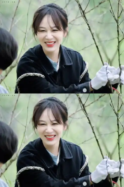 杨紫向往的生活