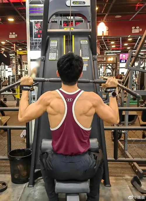 魏晨晒健身照这背部肌肉也太绝了吧