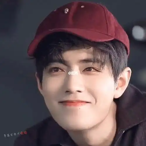 肖战的笑容可以融化世上的一切