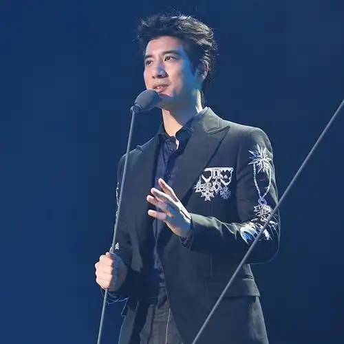 王力宏-落叶归根_最受欢迎港台男歌手:王力宏__企鹅fm