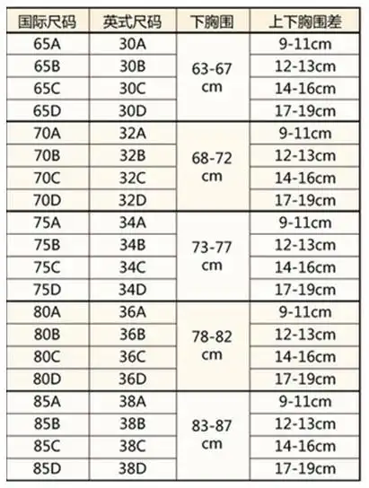 胸罩罩杯尺寸表