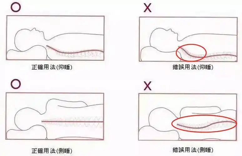 1. 贴合度好,有支撑力2. 合适的枕头高度3. 枕头软硬适中1.