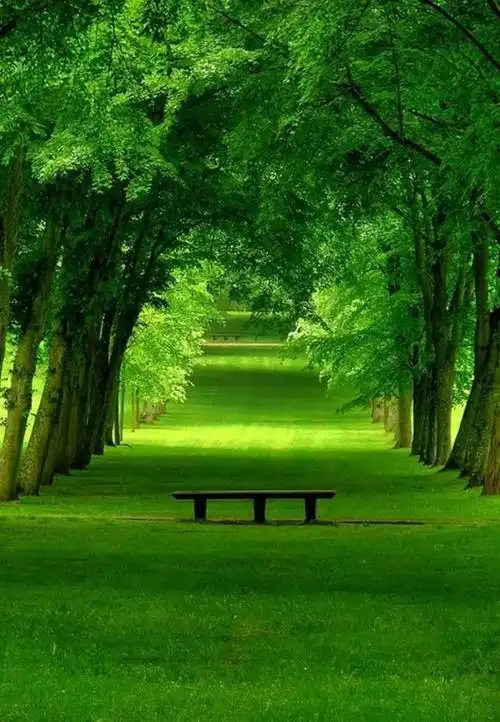 1别人说你好的时候别往心里去,否则说你不好的时候你也会当真.