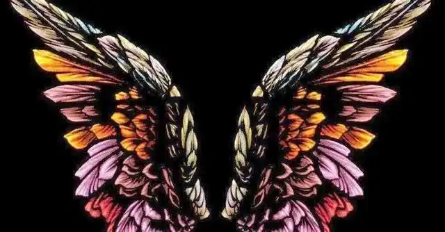 十二星座专属翅膀白羊紫色双鱼梦幻射手座太非主流了