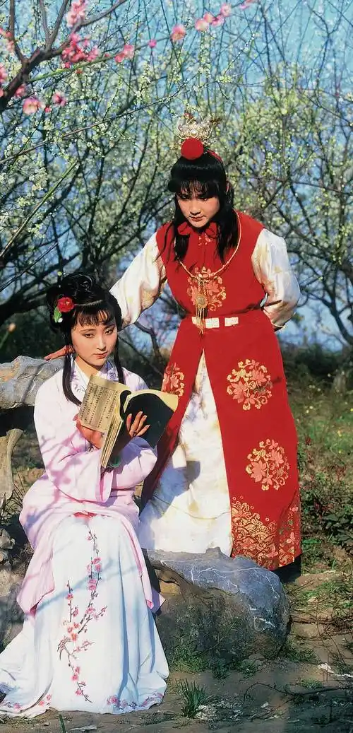 87版红楼梦高清剧照剧组曝光(1)_高考作文题《红楼梦》电视剧片段_红