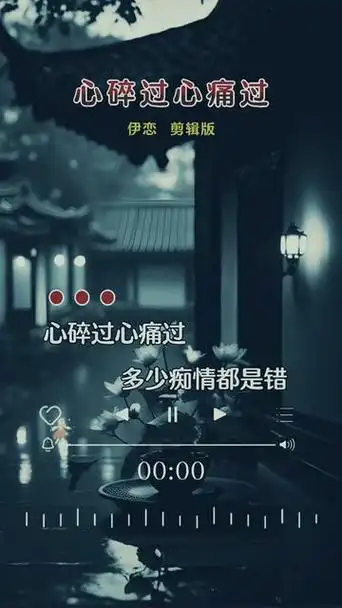 心碎过心痛过#伤感音乐 #说不出的或许都在歌里