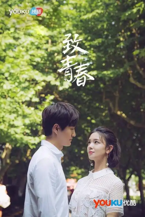 电视剧《致青春》(陈瑶,杨玏)