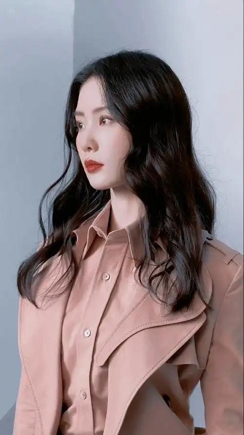 刘诗诗饭制证件照