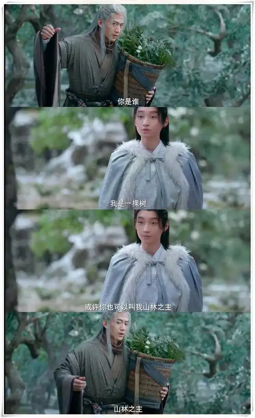 妈耶这部古装奇幻剧太好看了  :《山有木兮木有心》主要讲述了大规模