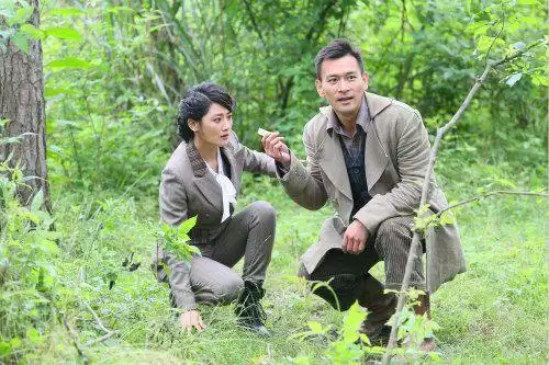 探险剧夺宝传奇热播陈洁借戏表达感情观