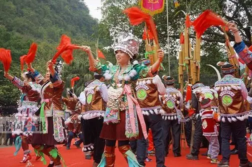 广西一带的壮族,每年三月初三这一天,家家户户都用嫩绿的枫叶,红兰草