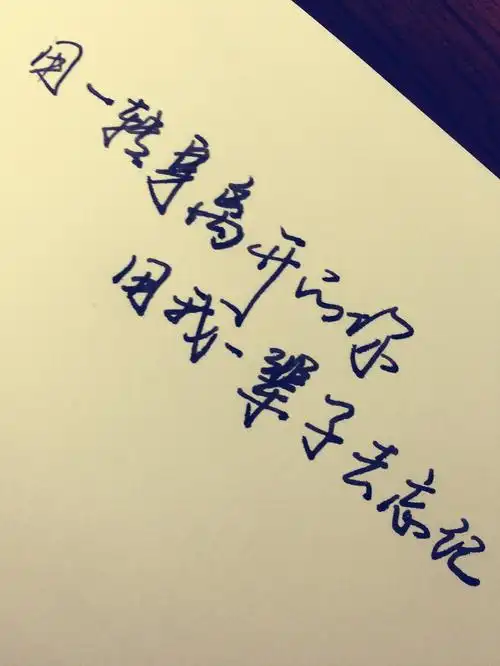 手写文字句子歌词唯美文艺郑智化用