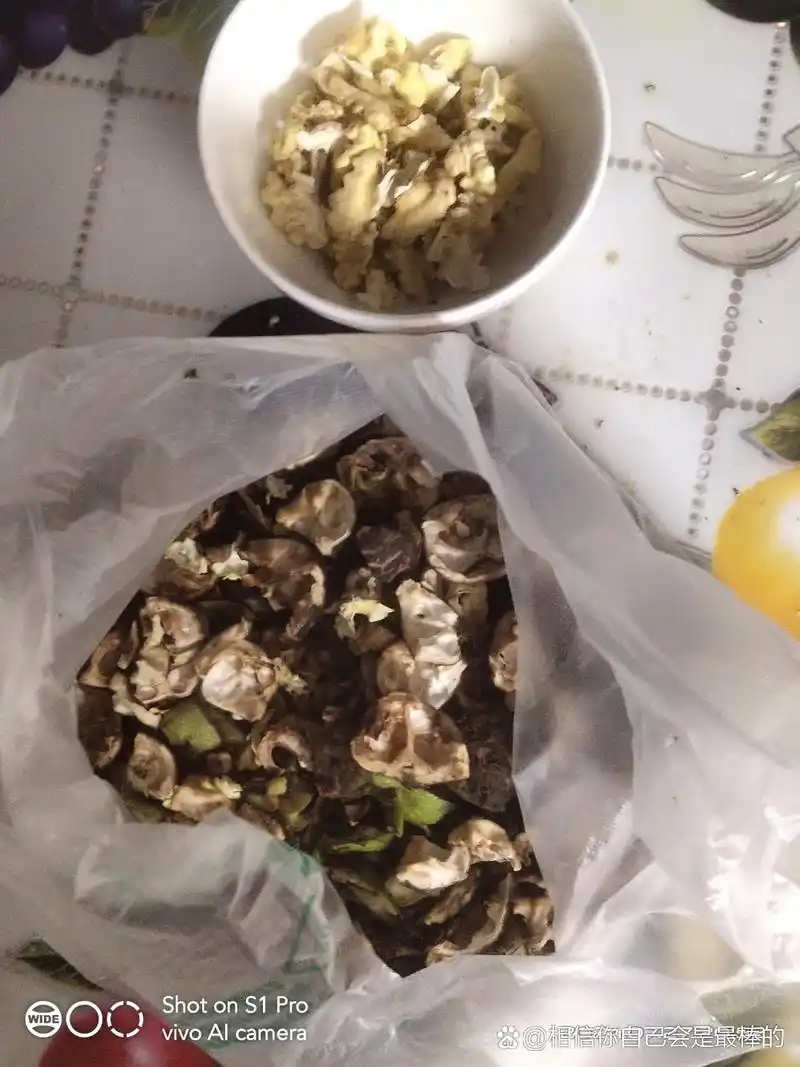 切开的青苹果,散落的果肉,刀上还沾着新鲜的红色汁液,配上旁边完整的