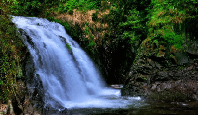 大吉大利的祝福!祝你一顺百顺,万事顺意顺顺顺