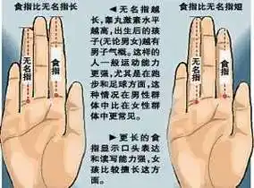 手指长短解读命运密码