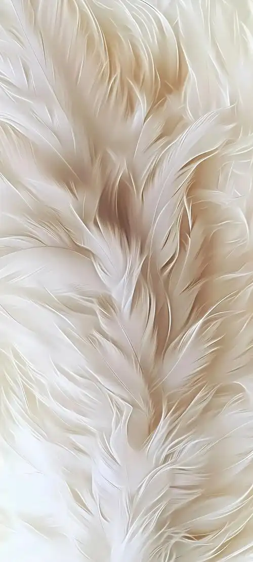 手机壁纸|超高清极简壁纸,免费分享,可直接保存!