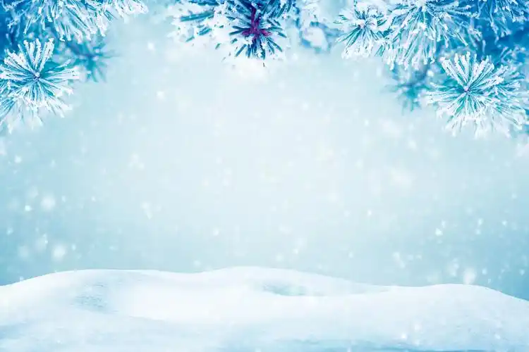 冬天的雪花背景