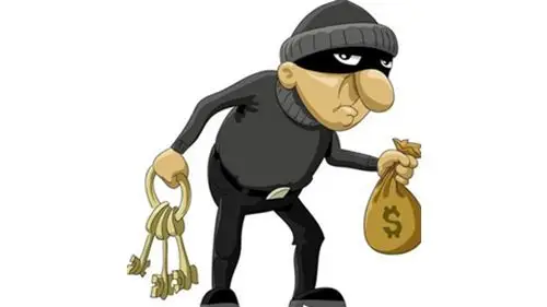 中国游客在巴黎遭偷盗事件频发警惕性差引担忧