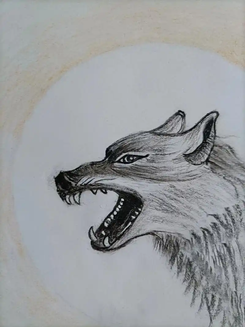 日常瞎画 #素描动物#狼##随手画 ! - 抖音