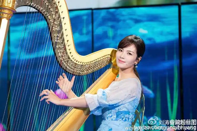 2016年央视春晚 刘涛林心如梁咏琪《山水中国美》