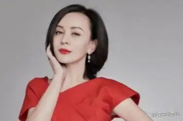 中年美妇王琳两婚两离35岁生下儿子如今气质仍似少女