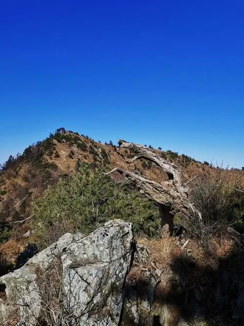 20201101惊悚之行～首阳山大坪梁单日横穿 原返