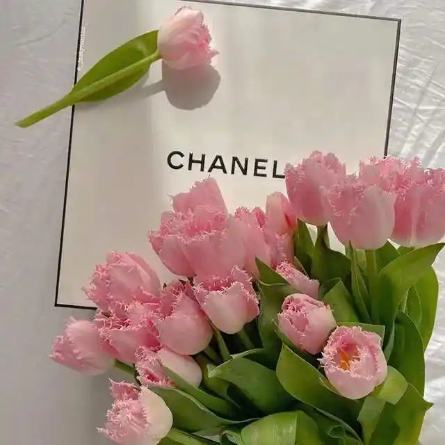 一些超美超治愈的朋友圈背景图