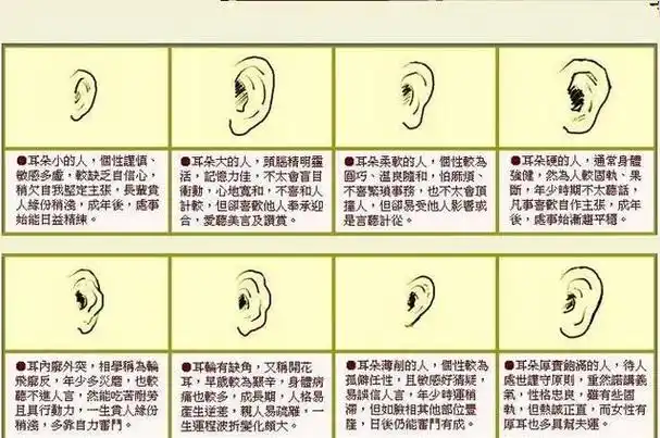 4.耳垂小甚至没有耳垂大