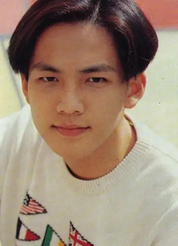 " data-lemmaid="50041231">中国香港 /a>,华语影视男演员,流行乐歌手