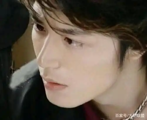 当年《海豚湾恋人》里的霍建华,真是嫩到可以"掐出水"!