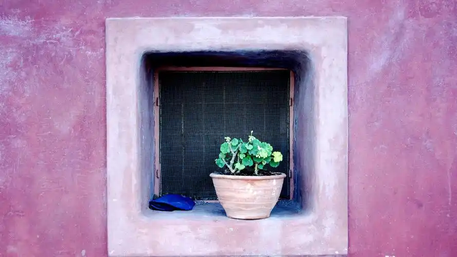 少女心壁纸【49】(小清新静态壁纸) - 静态壁纸下载 - 元气壁纸