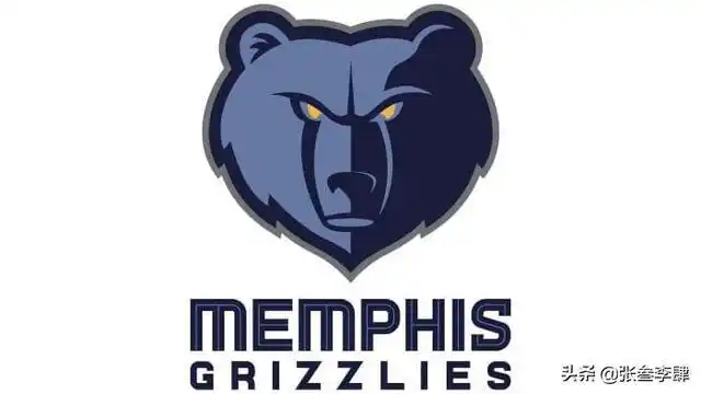 孟菲斯灰熊队队简介(不一样的logonba)(4)