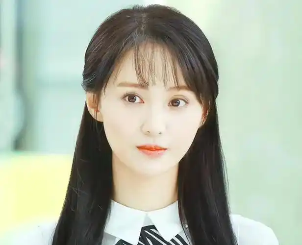 《一起来看流星雨》在韩国也有很多粉丝,郑爽在韩国同样受欢迎,而且还