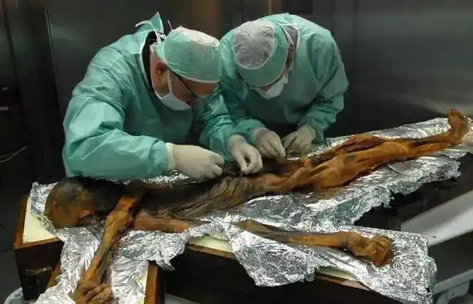 夫妇登山旅行,意外发现一具赤裸干瘪尸体,科学家鉴定后出人意料