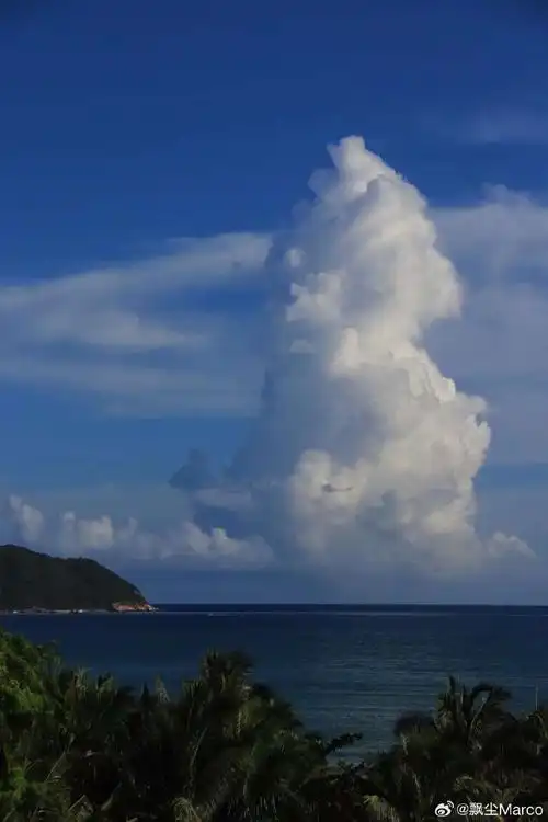 三亚离岛免税政府消费券