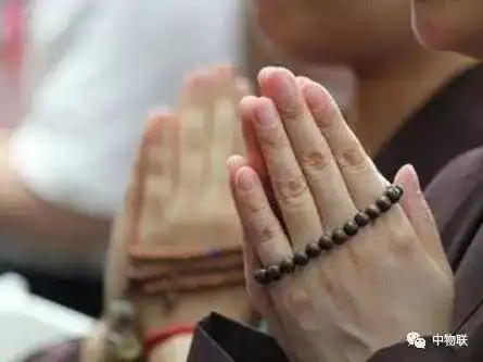 佛双手合十代表什么