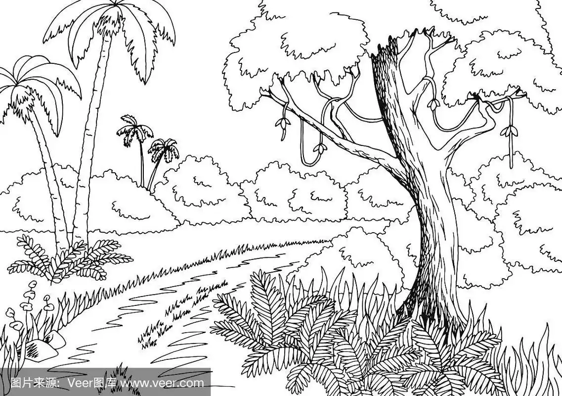丛林道路图形黑白景观素描插图矢量