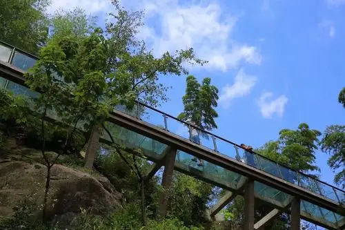 【春晓の玻璃栈桥】探访美丽古村落,体验裘岙玻璃栈道,秋行宋明古道