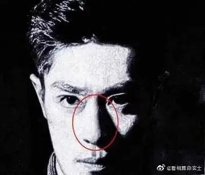 鼻梁露骨鼻头尖鼻梁露骨者,其心难以容人,而鼻头尖尖的人,其心挑剔.