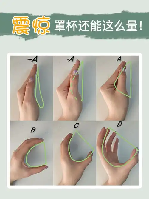 罩杯还可以这样量?趣味内衣尺码测量法,快去试试吧!