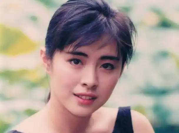 王祖贤与恐龙岛的奇幻冒险,探索王祖贤在恐龙岛的神秘之旅 .