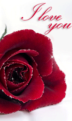 gif# #鲜花# #玫瑰# 灬铃兰灬采集