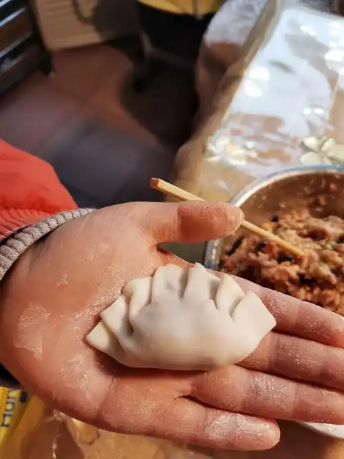 我会包饺子啦