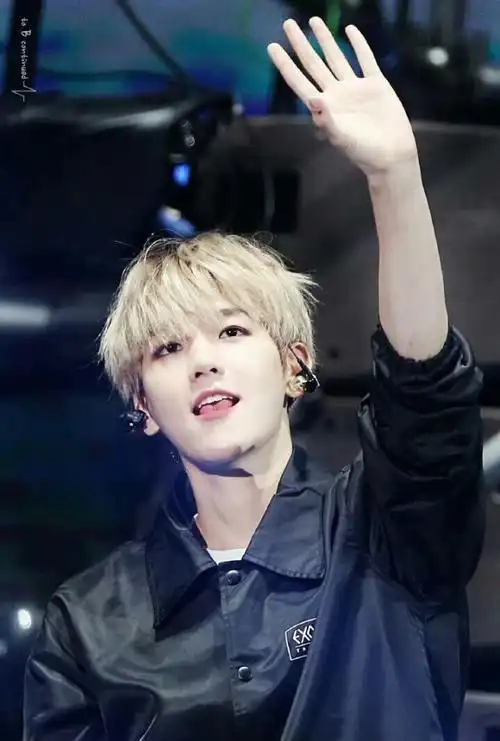 边伯贤:solo女神不经撩